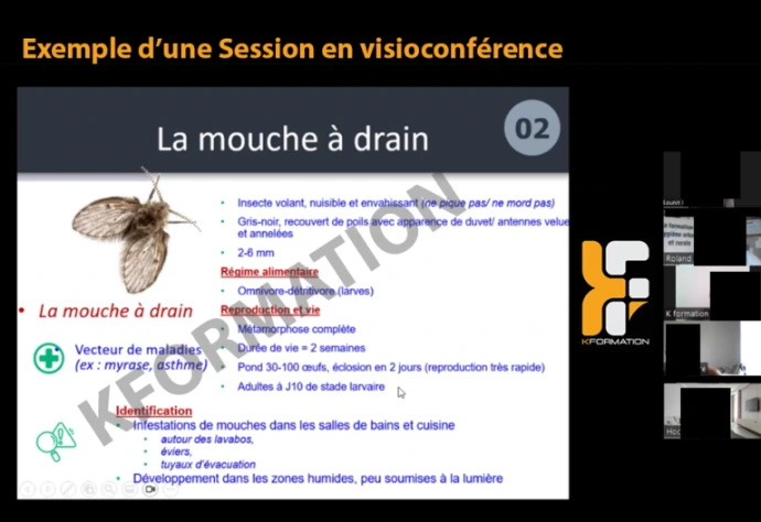 Un exemple de session en visioconférence de la formation certibiocide 